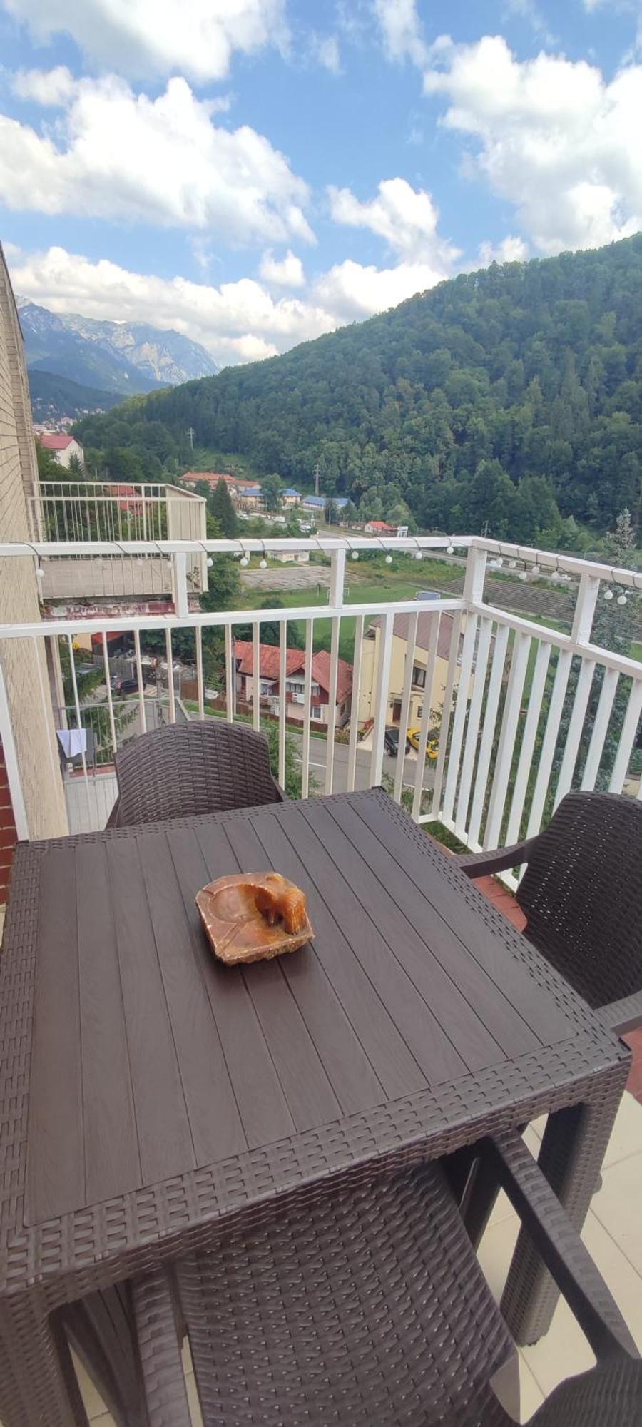 Duplex Belle View Sinaia-Free Parking Apartment Exterior photo