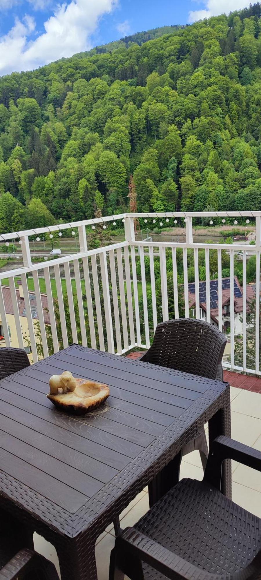 Duplex Belle View Sinaia-Free Parking Apartment Exterior photo